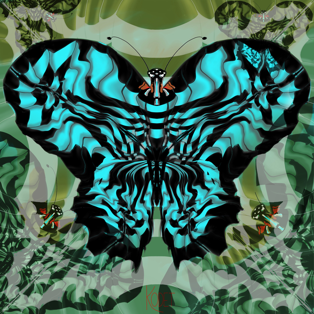 butterfly illusion